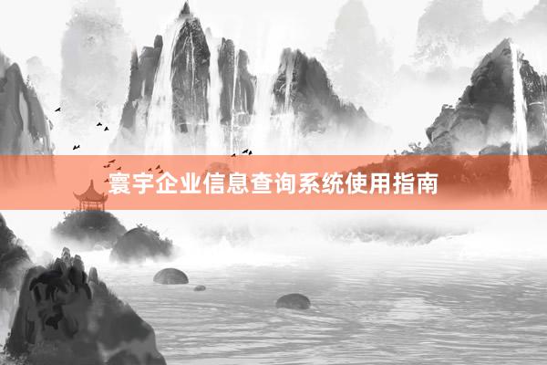 寰宇企业信息查询系统使用指南